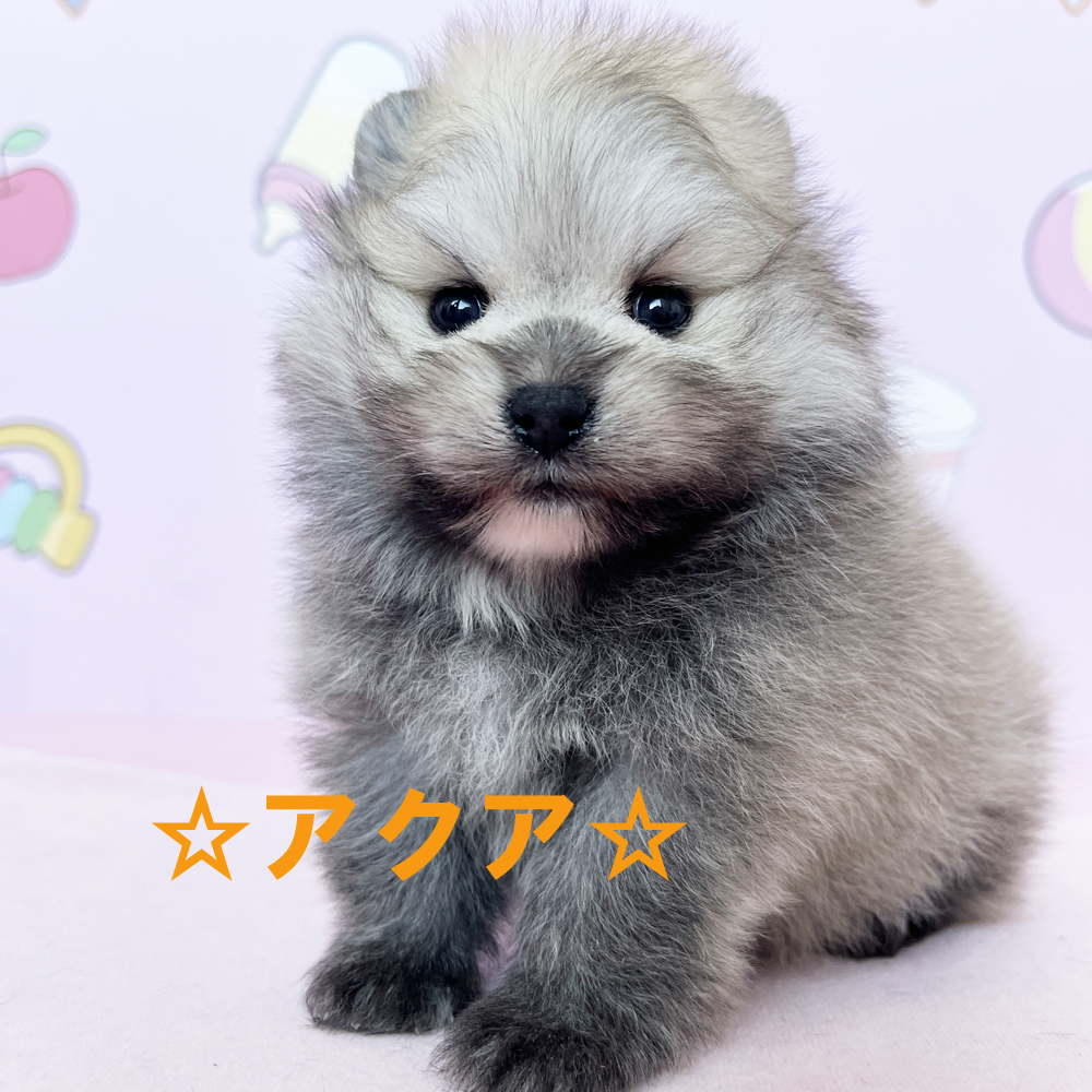 新しい仲間が増えました♪